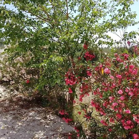 Melody View Mansion Vakantiehuis *