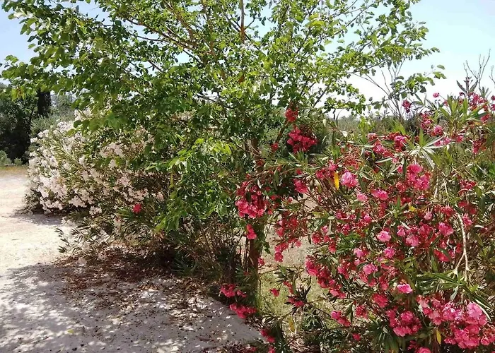 Melody View Mansion בית נופש *